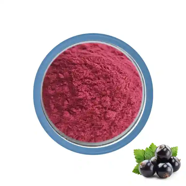 Black Currant Extract Powder